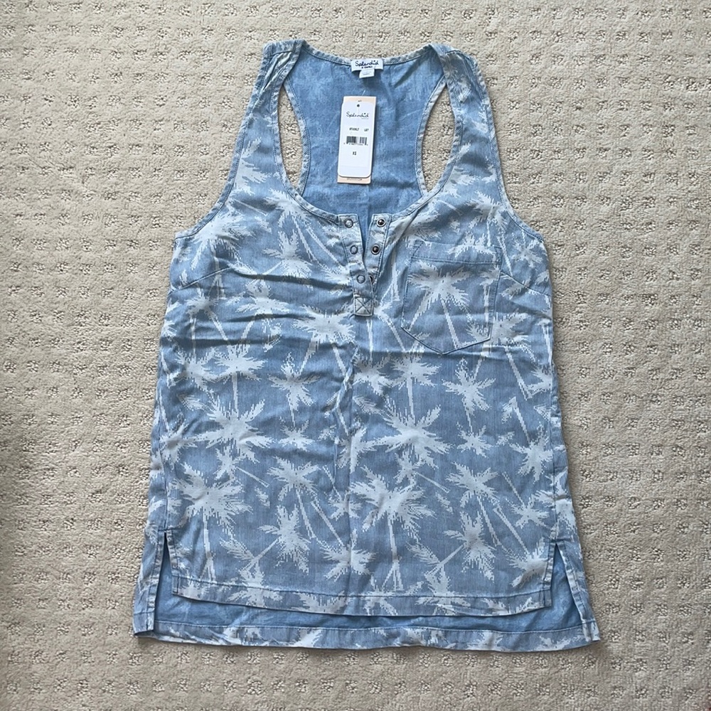 Tropical palm tree top